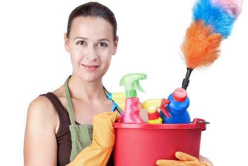 Professional steam carpet cleaning in Bounds Green for refreshed carpets