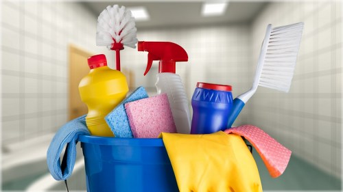 Carpet cleaning team using eco-friendly practices in Bounds Green