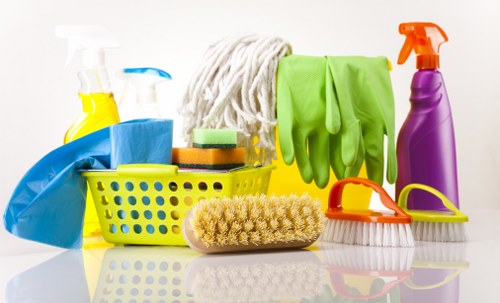 Professional carpet cleaning in a Bounds Green living room