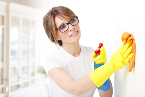 Professional stain removal on a carpet in Bounds Green