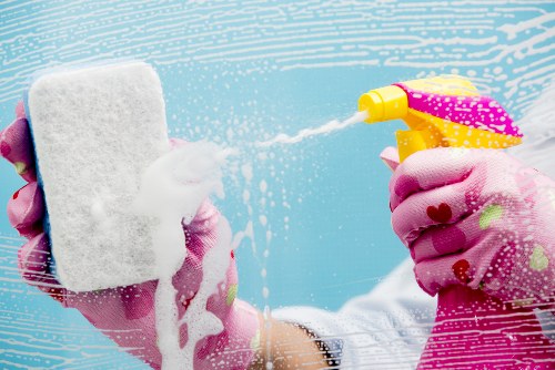 Deep cleaning pet urine stain treatment in a Bounds Green home