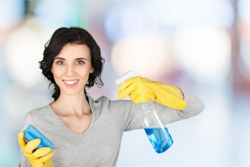 Deep carpet cleaning process for a home in Bounds Green