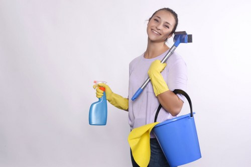 Commercial carpet maintenance and stain removal in Bounds Green