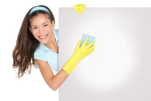 Graphic showing inclusive website support for carpet cleaning information