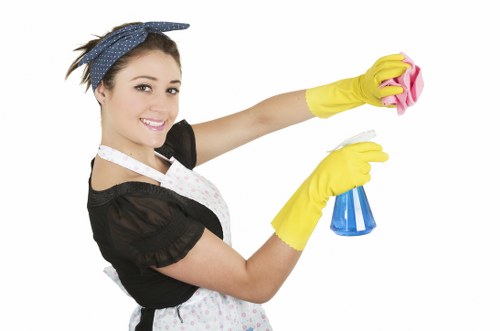 Technician performing steam carpet cleaning in a Bounds Green property